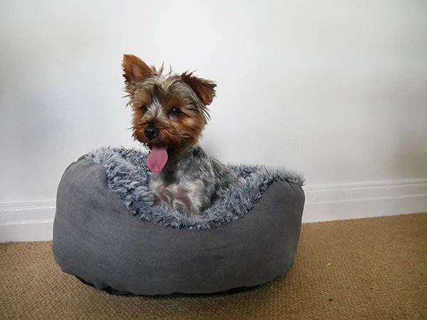 Rosewood - Grey Faux Suede Oval Dog Bed - Image 2