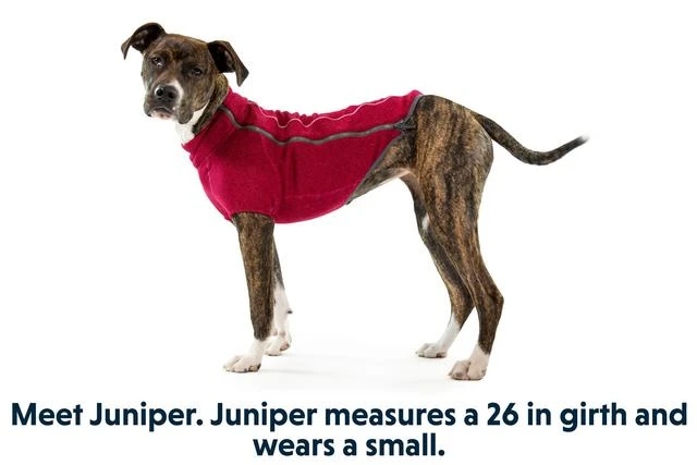 Ruffwear - Fernie Fleece Jacket Hibiscus Pink - Image 4