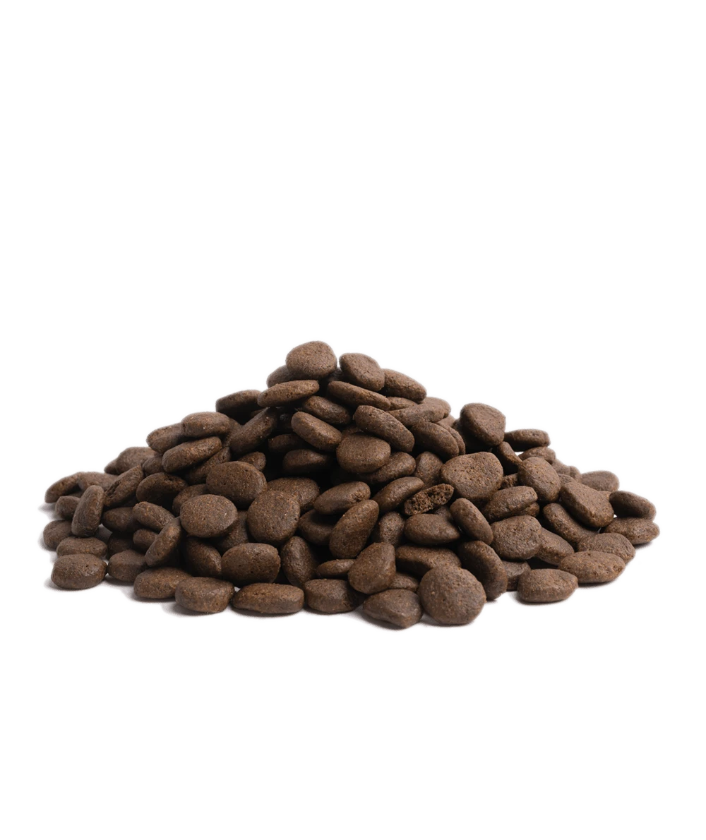 Essential Foods - Nautical Living Dry Dog Food - Image 2