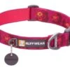 Ruffwear Flat Out Dog Collar - Alpenglow Burst