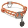 Ruffwear - Knot-a-Collar - Pumpkin Orange