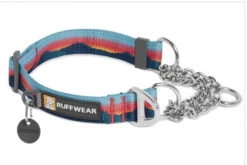 Ruffwear Chain Reaction Martingale Dog Collar - Sunset