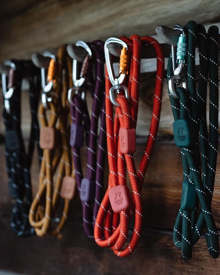 Woolly Wolf - Recycled Rope Dog Lead - Honey Ginger - Image 3