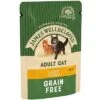 James Wellbeloved Cat Adult Lamb Grain Free Pouches 12x85g