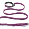 Ruffwear - Roamer™ Dog Lead - Purple Dusk