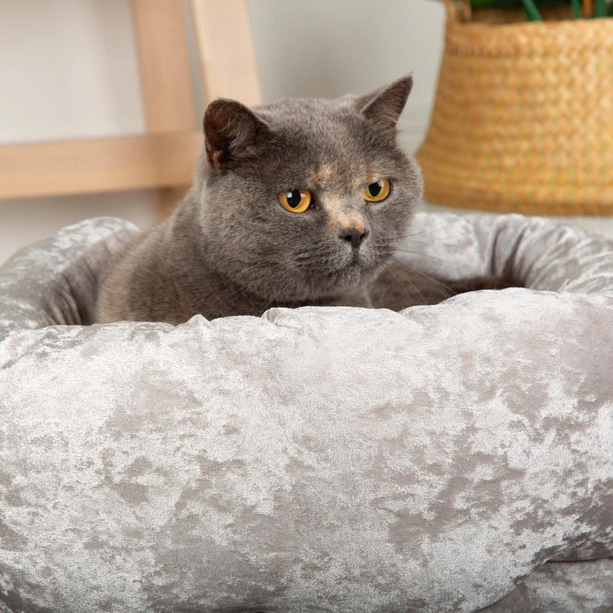 Scruffs - Velvet Donut Cat/Small Dog Bed - Silver - Image 3