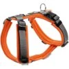 Hunter Pet - Maldon Harness