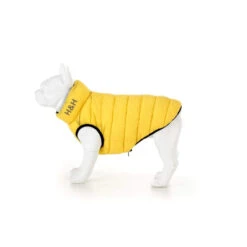 Hugo & Hudson - Yellow Puffer Jacket