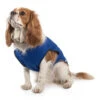 Ancol - Dog Cooling Vest