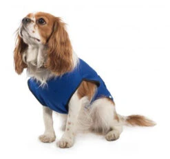 Ancol - Dog Cooling Vest