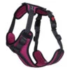 RUKKA Star Harness Pink