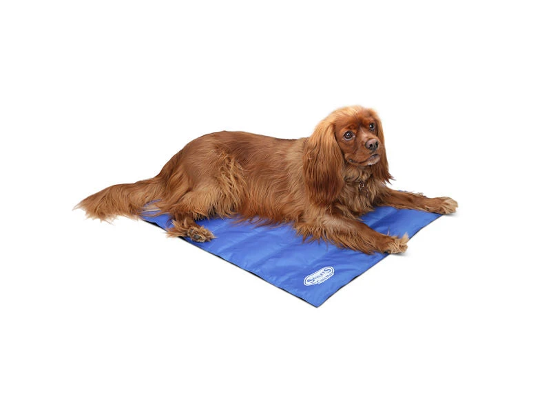 Scruffs - Dog Cooling Mat - Blue - Image 5