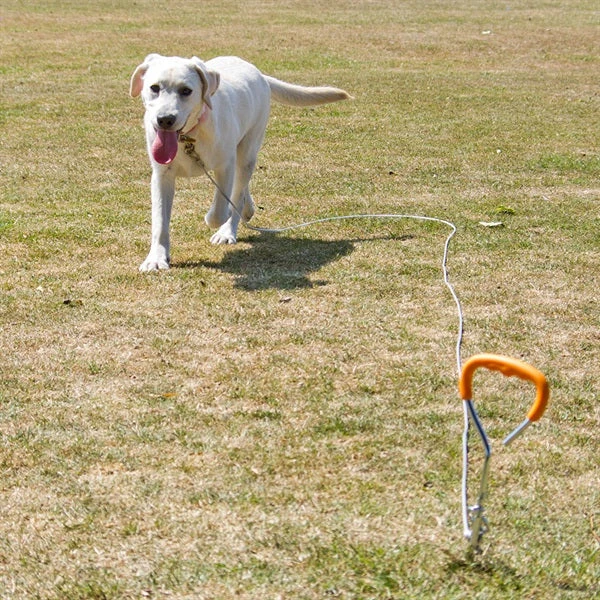 RAC - Dog Tether Tie Out Stake & Cable Kit - Image 2