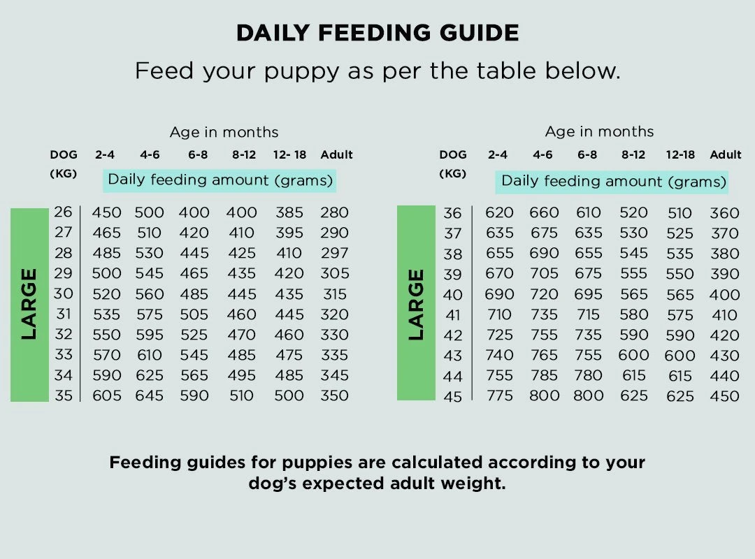 The Innocent Hound - Finest Pulled Pork Air-Dried Dog Food 3kg - Image 2