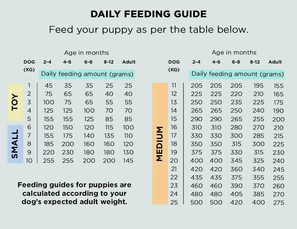The Innocent Hound - Finest Pulled Pork Air-Dried Dog Food 3kg - Image 3