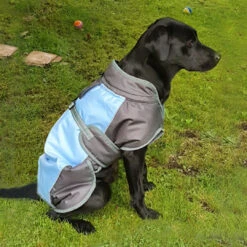 Henry Wag - Waterproof Dog Coat