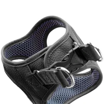 Hunter Hilo Leather Harness – Black - Image 4