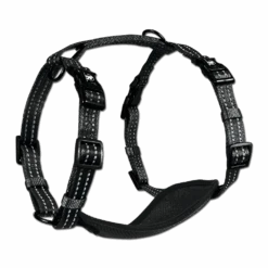 Alcott - Adventure Harnesses