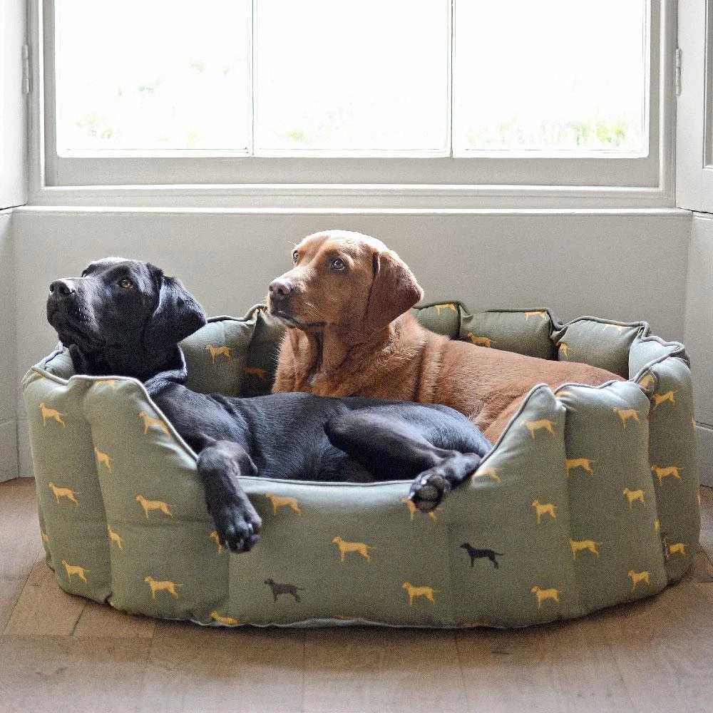 Sophie Allport Fab Labs Dog Bed - Image 2