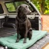 House Of Paws - Water Resistant Crate Mat - Green