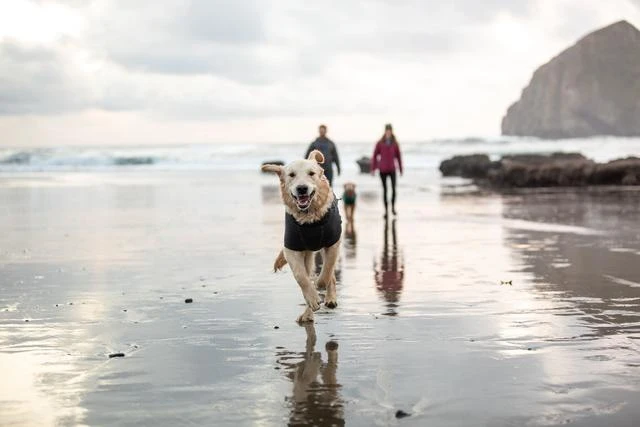 Ruffwear - Fernie Fleece Jacket Twilight Gray - Image 4