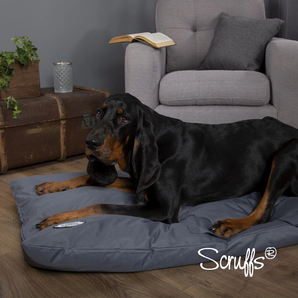 Scruffs - Expedition Orthopaedic Pillow Dog Bed - Image 4
