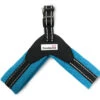 Doodlebone Boomerang Dog Harness - Cyan