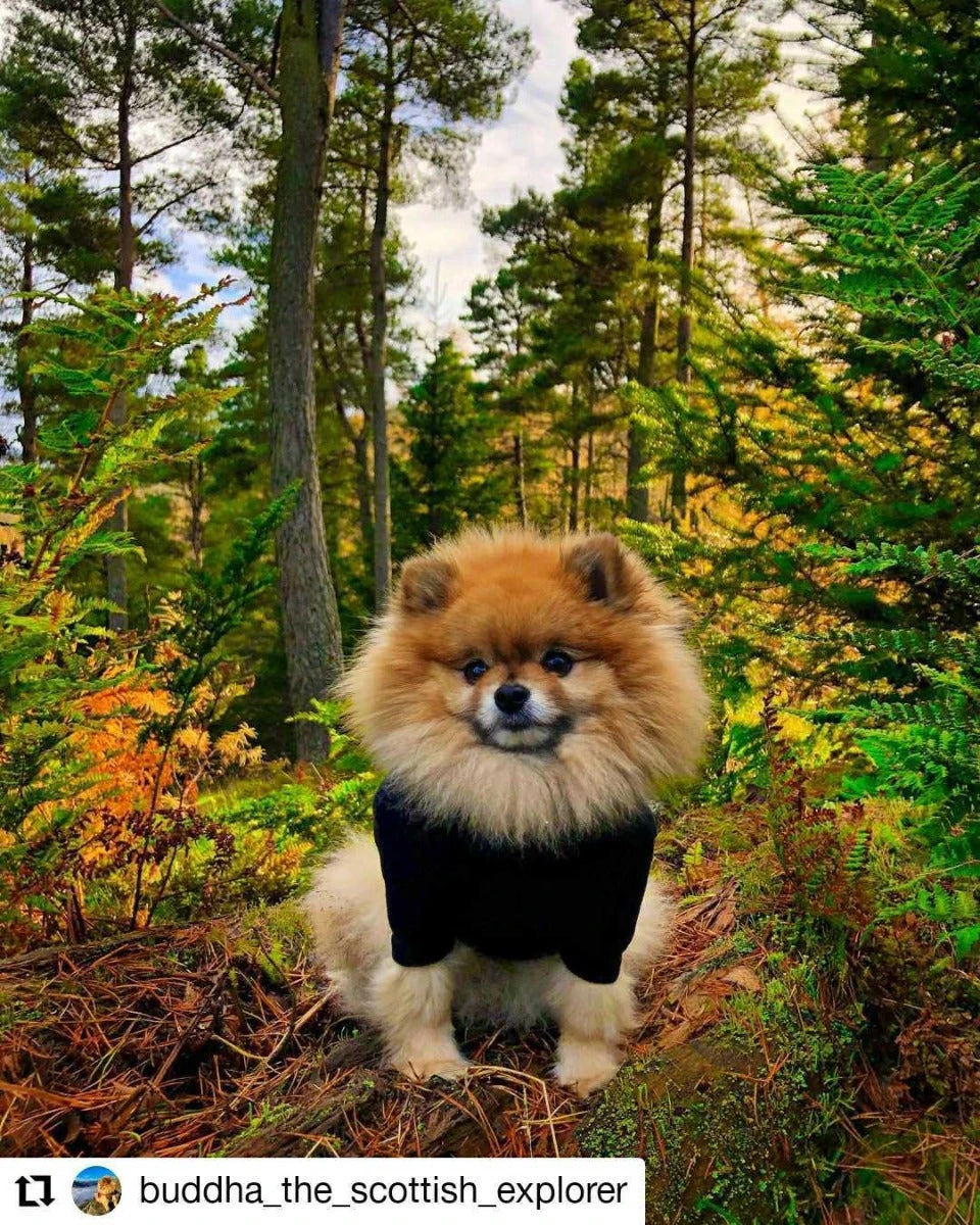 HOTTERdog Equafleece Dog Fleece - Black - Image 2