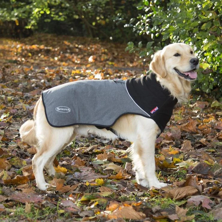 Scruffs - Thermal Self-Heating Dog Coat - Cajun Grey - Image 2