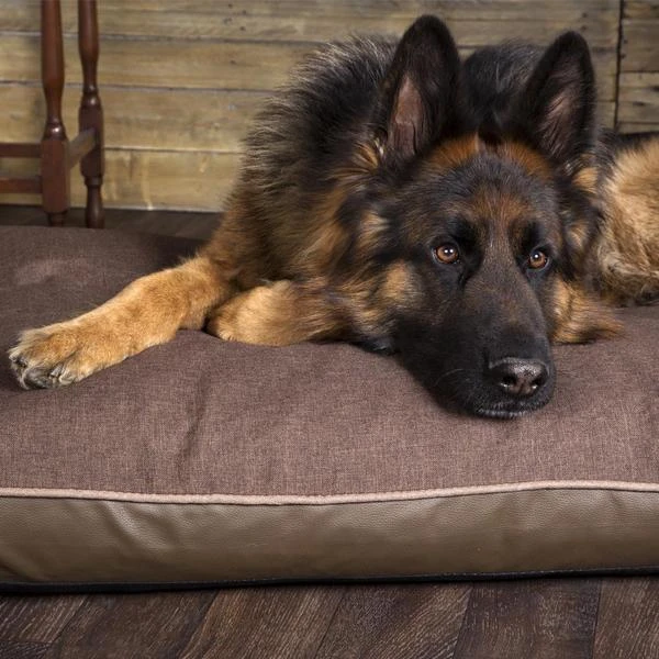 Scruffs - Hilton Memory Foam Orthopaedic Dog Mattress - Chocolate - Image 3