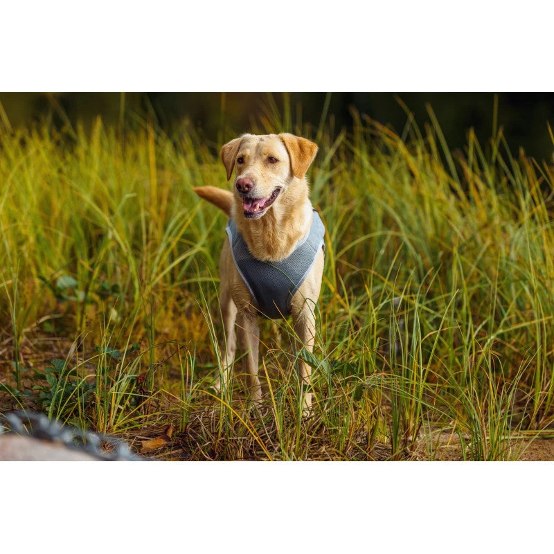 RUKKA - Dog Cooling Vest - Grey - Image 6