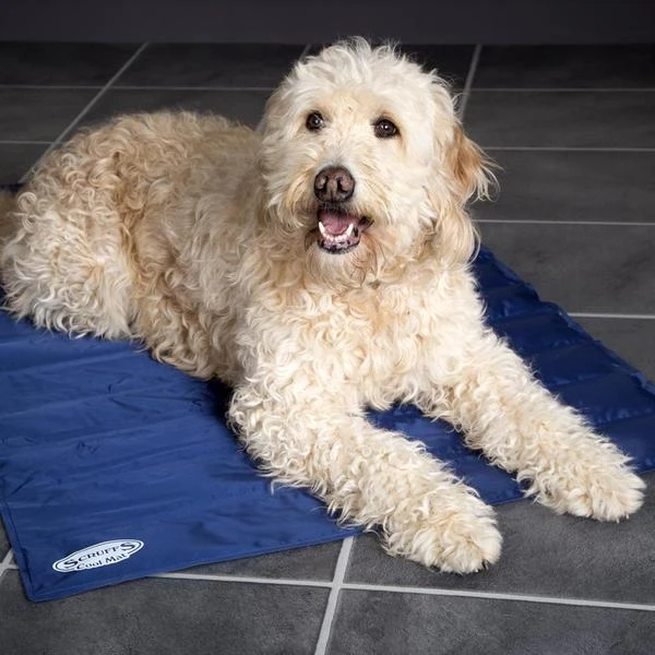 Scruffs - Dog Cooling Mat - Blue - Image 2