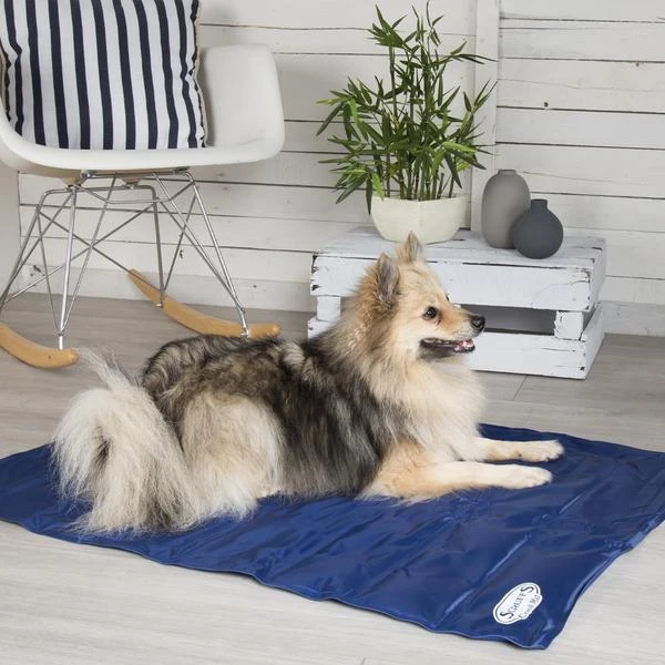 Scruffs - Dog Cooling Mat - Blue - Image 3