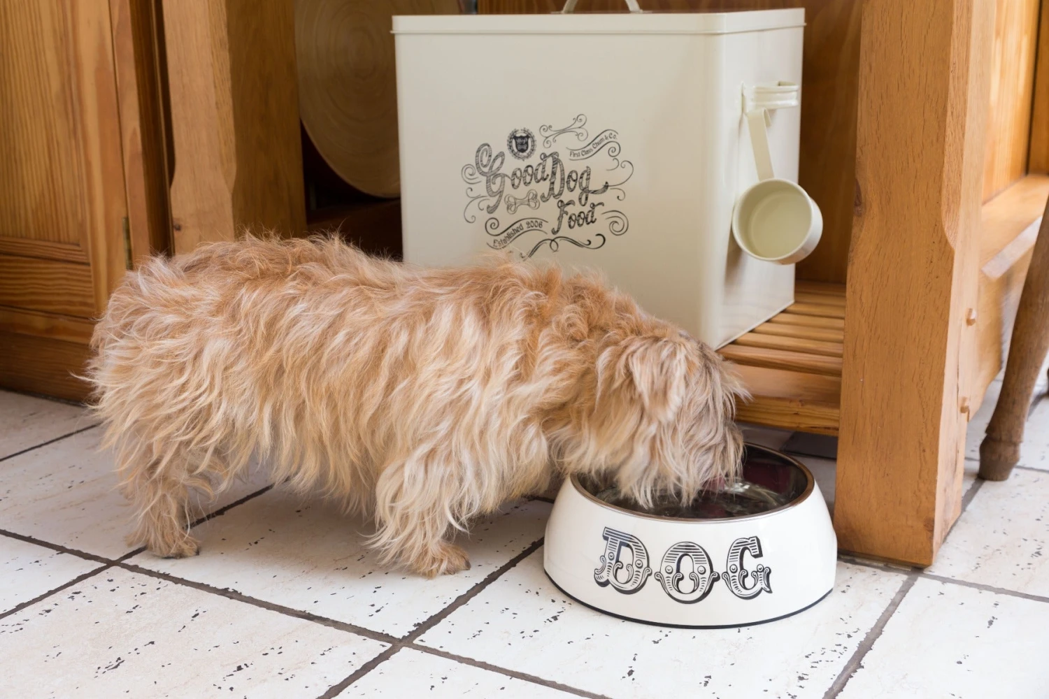 House Of Paws - Country Kitchen Dog Bowl - Image 3