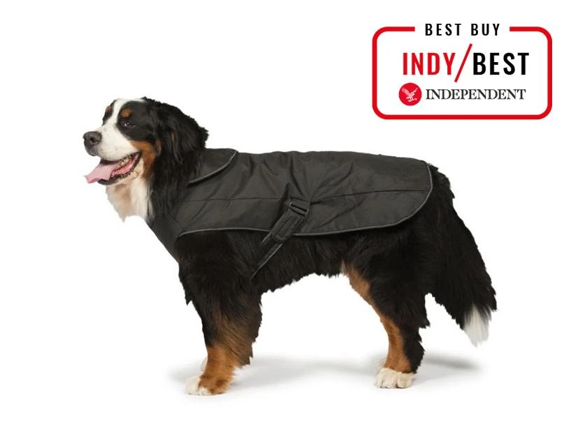 Danish Design - 2-in-1 Harness Dog Coat - Image 3