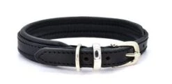Dogs & Horses - Padded Leather Dog Collar - Black
