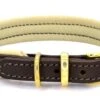 Dogs & Horses - Padded Leather Dog Collar - Brown & Cream