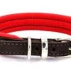 Dogs & Horses - Padded Leather Dog Collar - Brown & Red