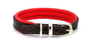 Dogs & Horses - Padded Leather Dog Collar - Brown & Red