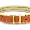 Dogs & Horses - Padded Leather Dog Collar - Tan With Brass