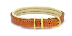 Dogs & Horses - Padded Leather Dog Collar - Tan With Brass