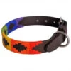 Pioneros Polo Dog Collar - Rainbow