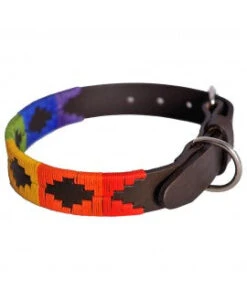 Pioneros Polo Dog Collar - Rainbow