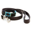 Pioneros Polo Dog Lead - Green/Pale Blue/Navy/Cream Stripe