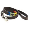 Pioneros Polo Dog Lead - Rainbow
