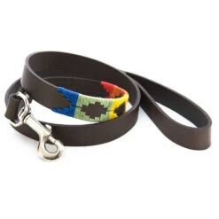 Pioneros Polo Dog Lead - Rainbow