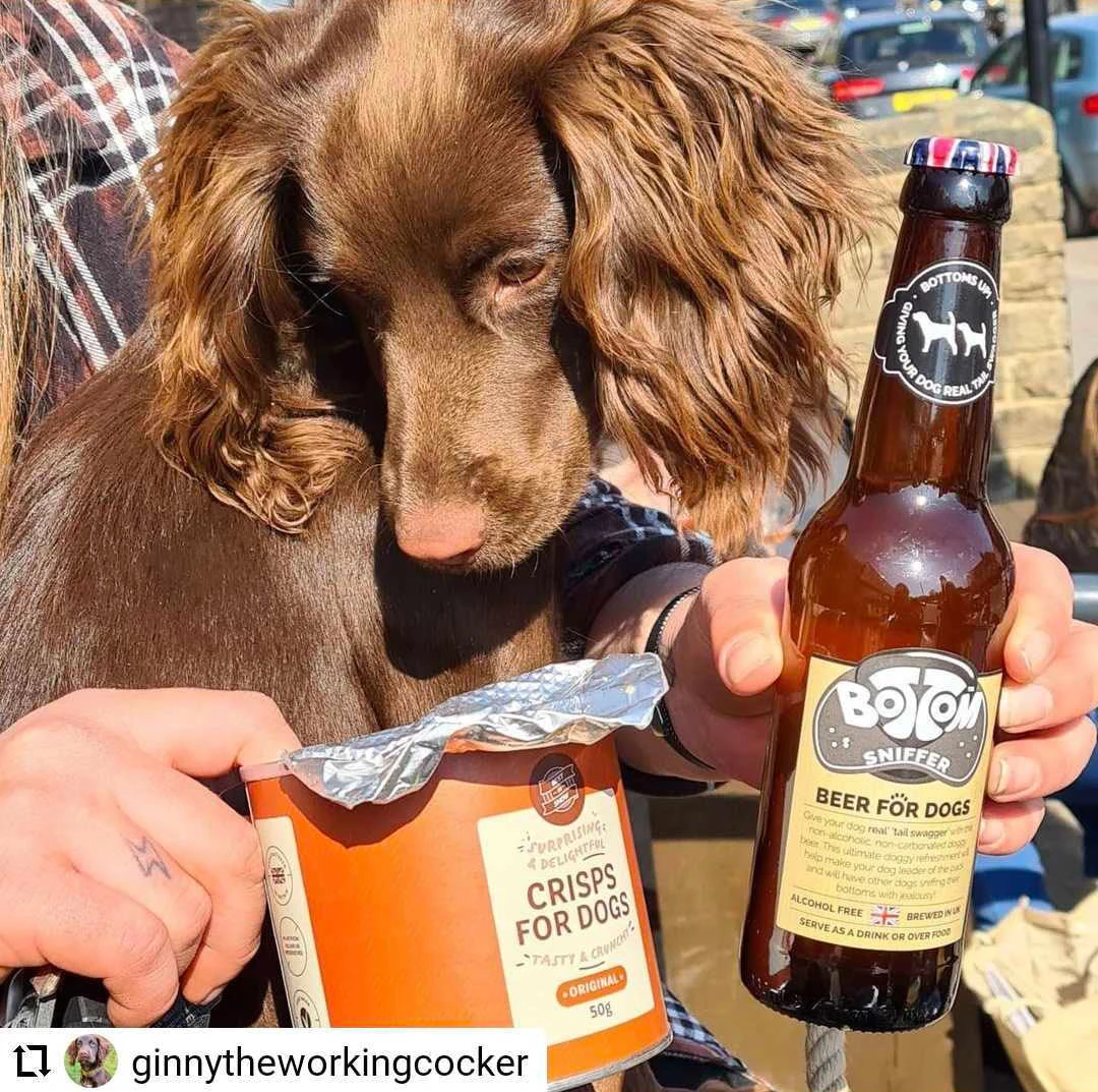 Pub Dog Gift Set - Image 2