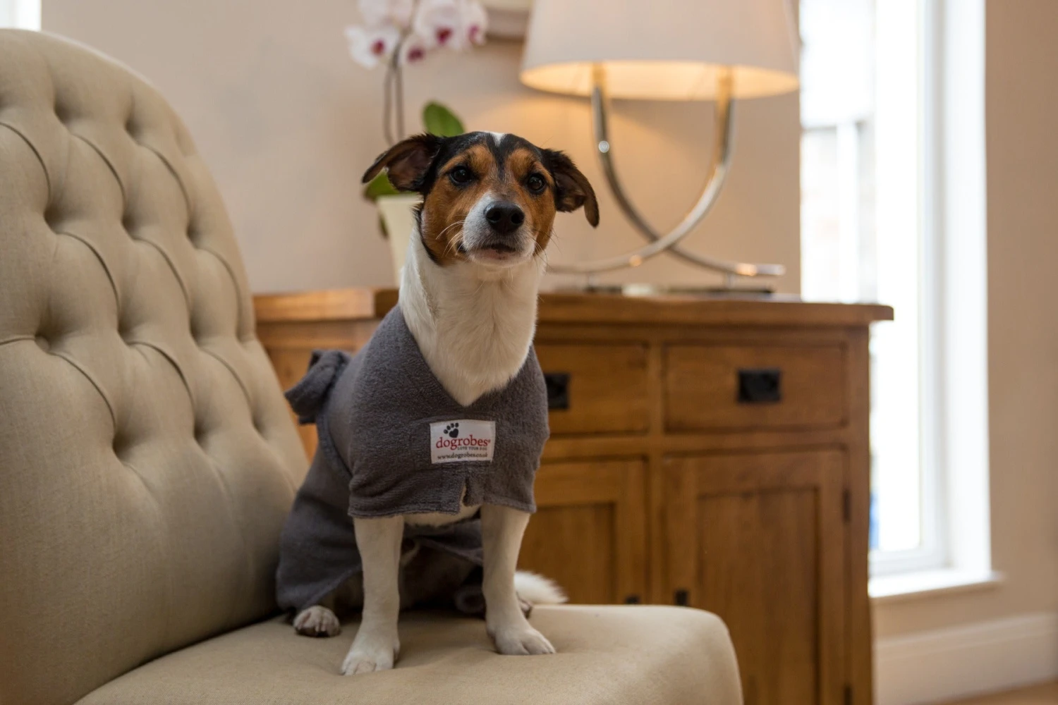 Dogrobes - Dog Robe Drying Coat - Grey - Image 4