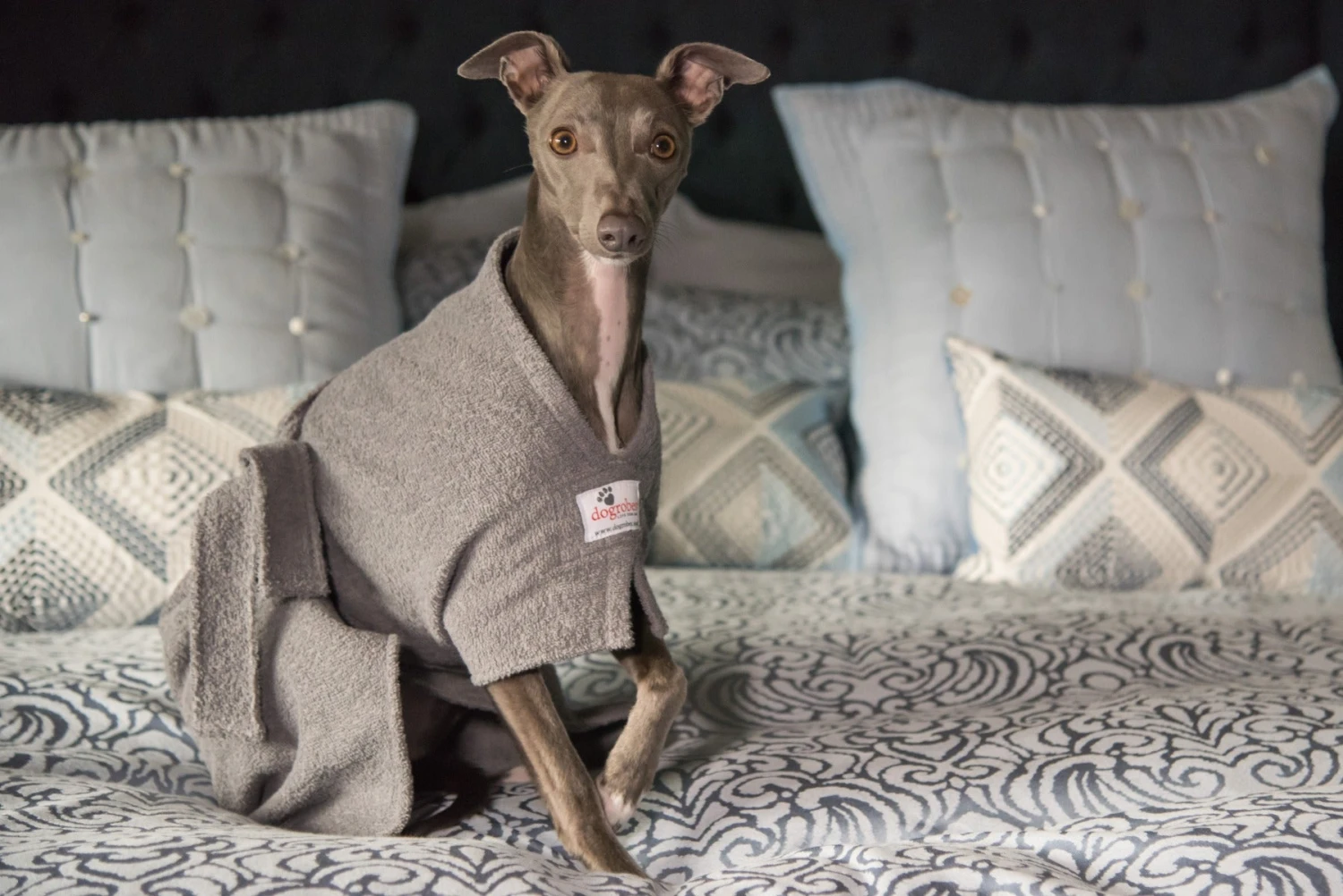 Dogrobes - Dog Robe Drying Coat - Grey - Image 3