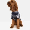 Joules Harbour Dog Jumper